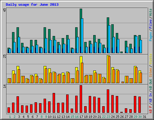 Daily usage for June 2013